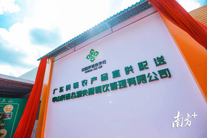 高原蔬菜：绿色健康的选择